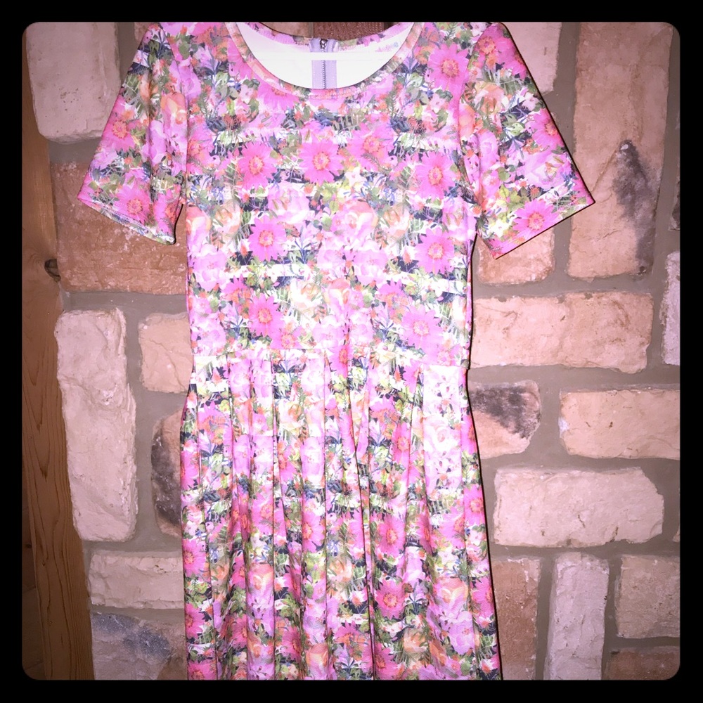 Lularoe Amelia size L